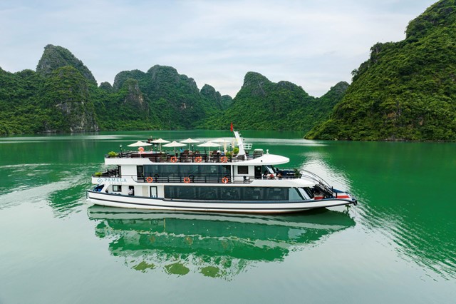 Halong Day Cruise ( 7 hours )